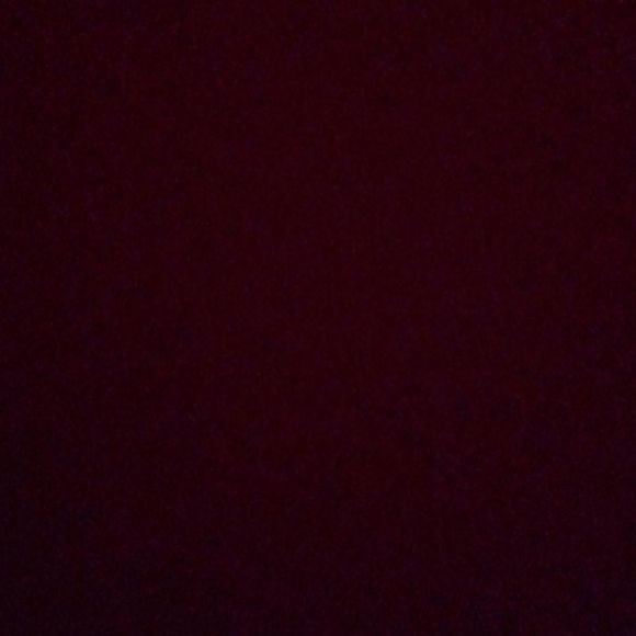 jacob_terlizzi